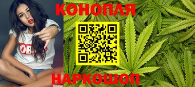 СК Краснознаменск