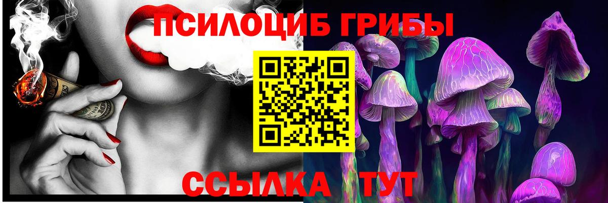 Галлюциногенные грибы ЛСД Юрга