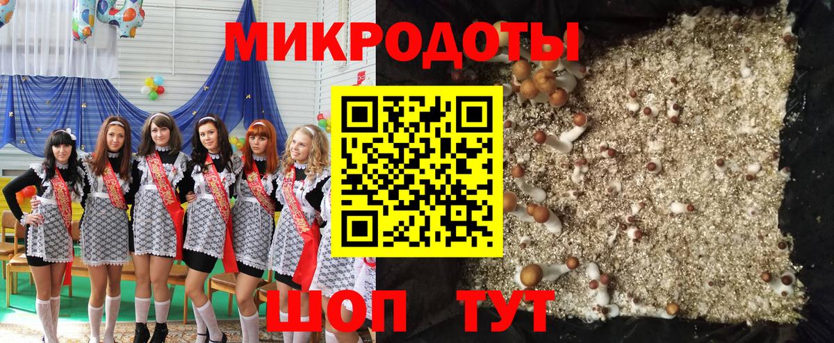 Юрга  Галлюциногенные грибы Psilocybine cubensis  купить   Вход с VPN 